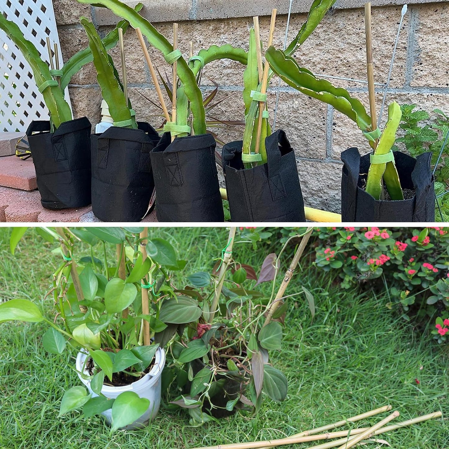 50Pcs / 18 inch Bamboo Plant Stakes for Indoor Outdoor Plants, Garden Plant Support Sticks, Poles for Tomato Vegetables Beans Trees Potted Climbing Plants(0.32''-0.4'')