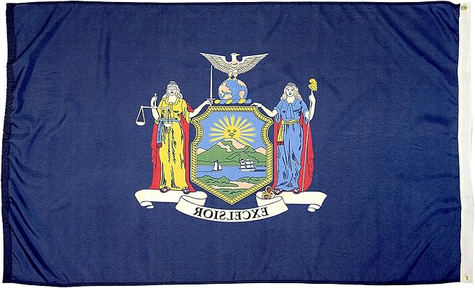 FlagSource New York Nylon State Flag, Made in USA, 8x12'